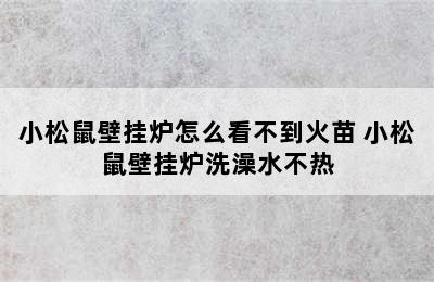 小松鼠壁挂炉怎么看不到火苗 小松鼠壁挂炉洗澡水不热